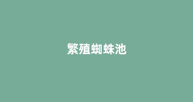 信息流优化技巧蜘蛛池